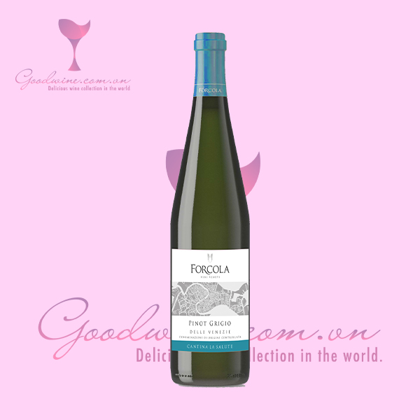 Rượu Vang Ý cao cấp – Forcola Pinot Grigio