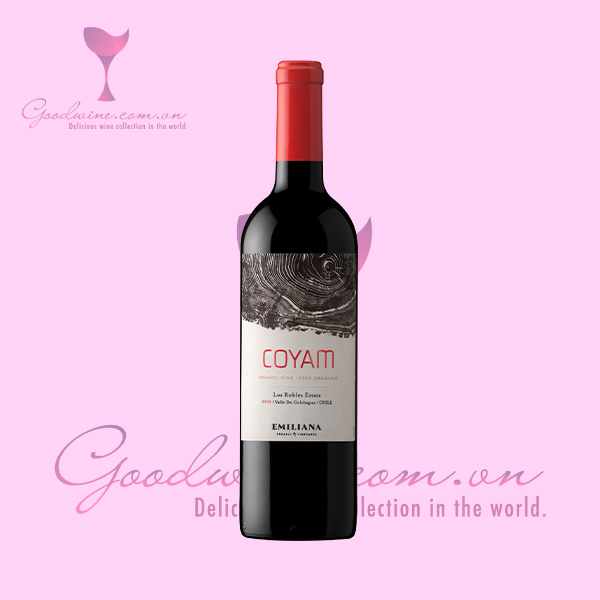 Rượu vang Chile cao cấp – Coyam