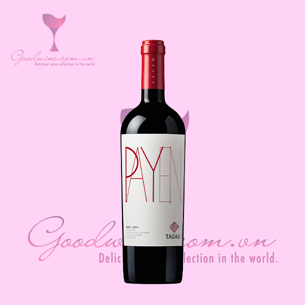 Rượu vang Chile cao cấp – Tabali Payen