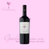 Rượu vang Chile cao cấp – Tabali Reserva Cabernet Sauvignon