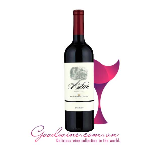 Rượu vang Antica Merlot nhập khẩu giá tốt tại GoodWine.com.vn