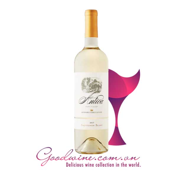 Rượu vang Antica Sauvignon Blanc nhập khẩu giá tốt tại GoodWine.com.vn