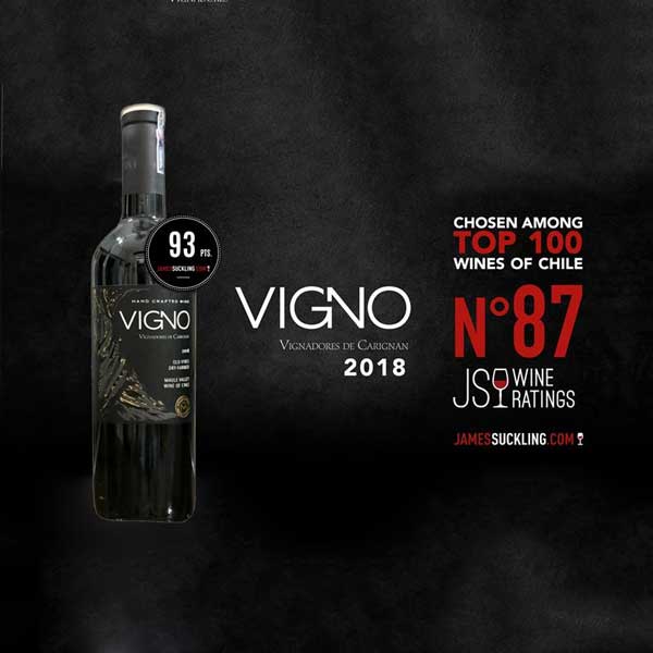 Rượu vang Vigno Vignadores de Carignan Morandé ảnh 2