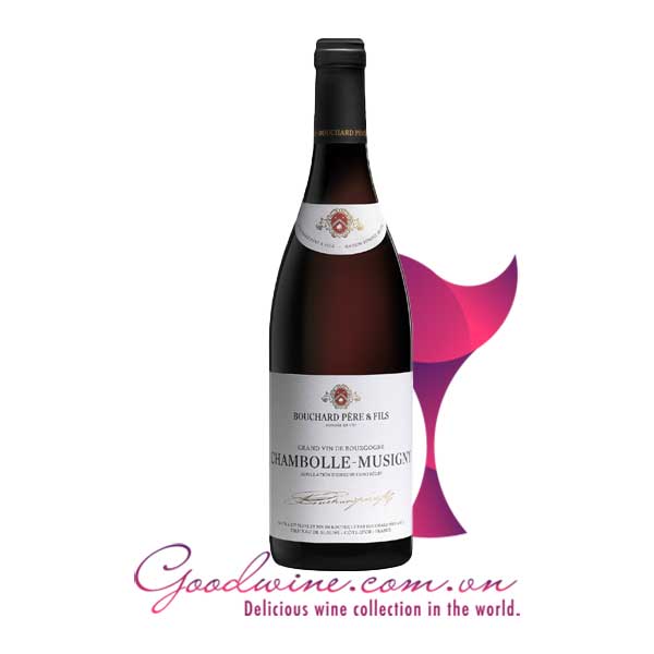 Rượu vang Bouchard Père & Fils Chambolle-Musigny nhập khẩu giá tốt tại GoodWine.com.vn