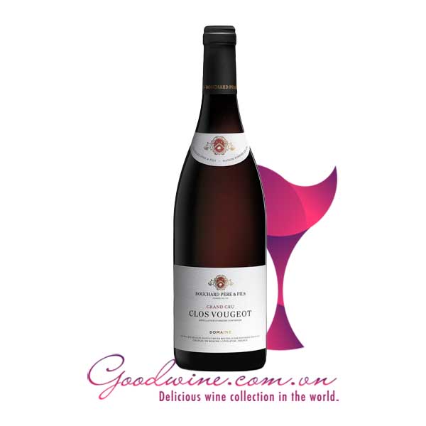 Rượu vang Bouchard Père & Fils Clos Vougeot nhập khẩu giá tốt tại GoodWine.com.vn