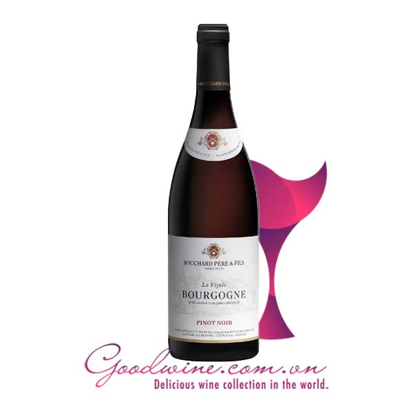 Rượu vang La Vignée Bourgogne Pinot Noir nhập khẩu giá tốt tại GoodWine.com.vn