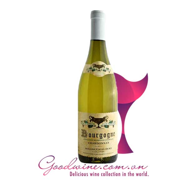 Rượu vang Domaine Coche-Dury Bourgogne Chardonnay nhập khẩu giá tốt tại GoodWine.com.vn