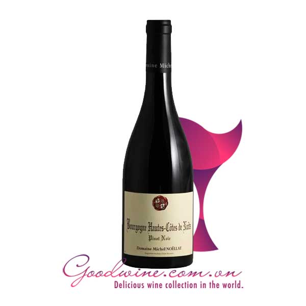 Rượu vang Bourgogne Hautes-Cotes de Nuits Pinot Noir nhập khẩu giá tốt tại GoodWine.com.vn