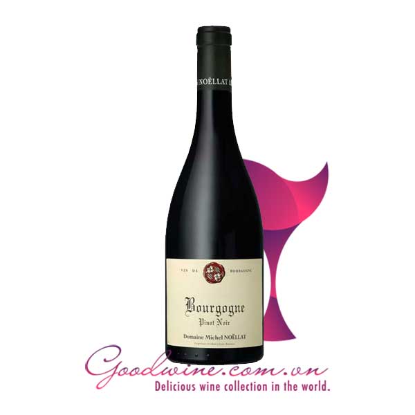 Rượu vang Domaine Michel Noellat Bourgogne Pinot Noir nhập khẩu giá tốt tại GoodWine.com.vn